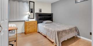 Palmy's room