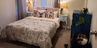 Tanna's room