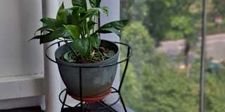 Sabari's room
