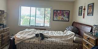 Cassidy's room