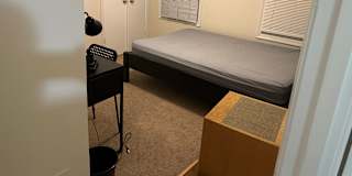 Ali Malik's room