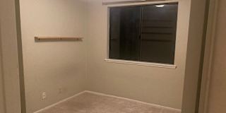 taylor's room