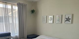 Tash's room