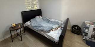 Yoni's room