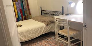 Farnaz's room