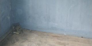 Veronica's room