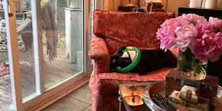 Jeffrey Pommer's room