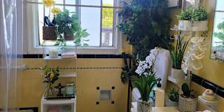 Montanatitleco.'s room