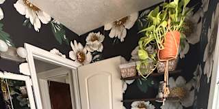 Danielle's room