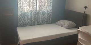 Lou's room