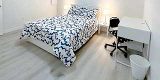 Shahram's room