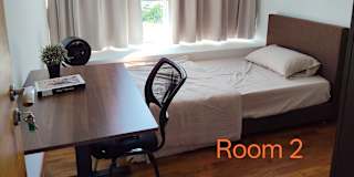 Beh's room