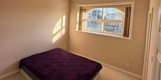 Vinicius Kuwahara's room