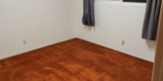David Burchard's room