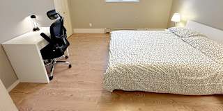 Shirin's room