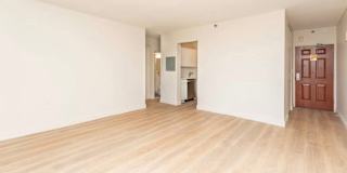 yu's room