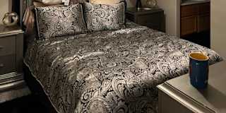 Shawn's room