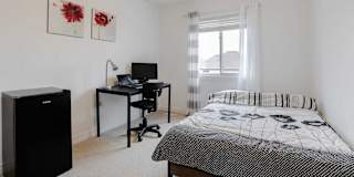 Nikoo Zohadi's room