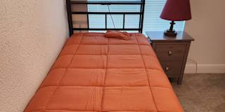 My New Beginning's room