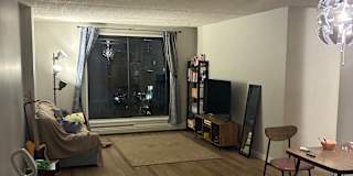 T Rex's room
