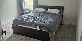 Fraser's room