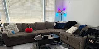 Jerry's room