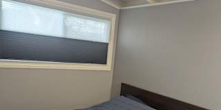Taz's room