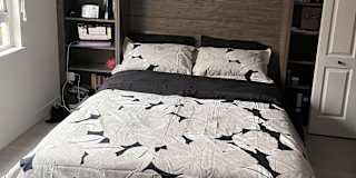 Chadash's room