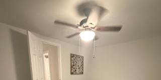 Bee's room