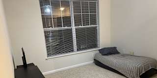 Josh's room