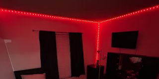 Landie's room