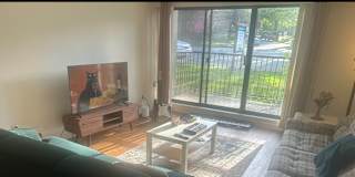 David's room
