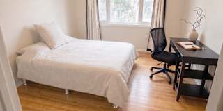 Daniela's room