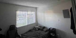 Hamad's room