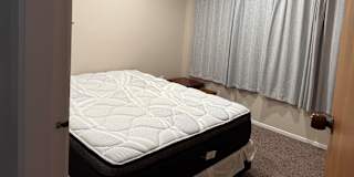 Sasa's room