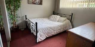 sil's room
