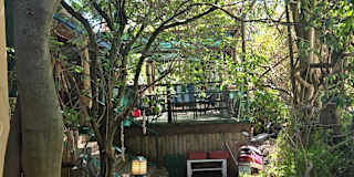 Green Point Tree House's room