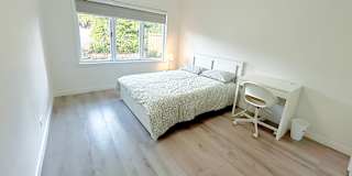 Shirin's room