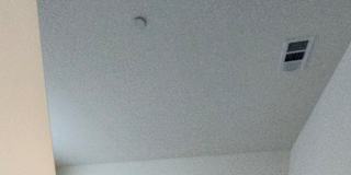 STELLA's room