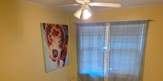 KOLBY's room
