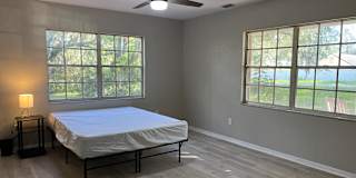 Nicollas's room