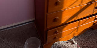 Suellen Kehler's room