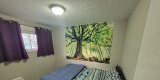 SHAT (pronounced Shot)'s room