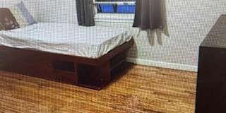 Amy's room