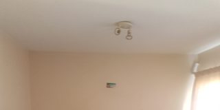 Daniel's room