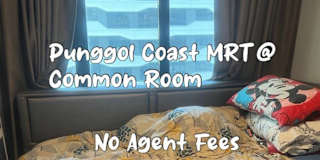 Marshall's room