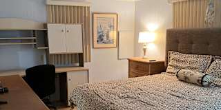 Aviva's room