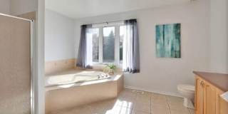 Anton's room