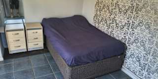 Daniel's room