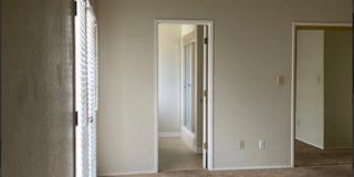 Reginald's room
